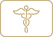 Icon of a caduceus with a staff and two snakes, representing healthcare or medical services.